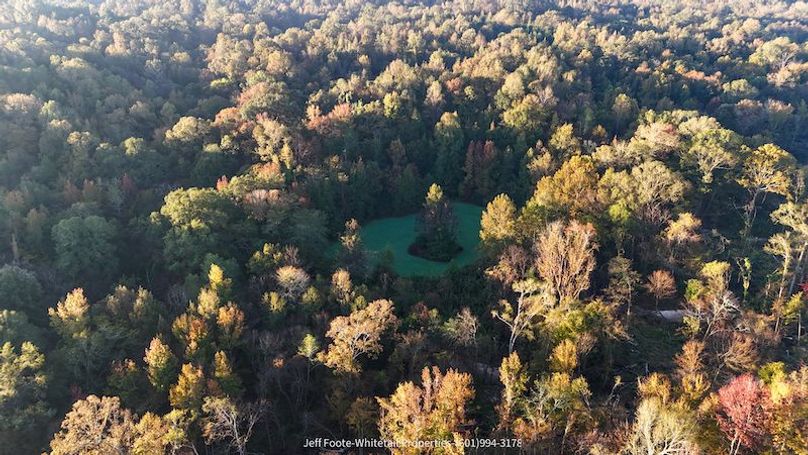 Claiborne Co-151-Geronimo-41