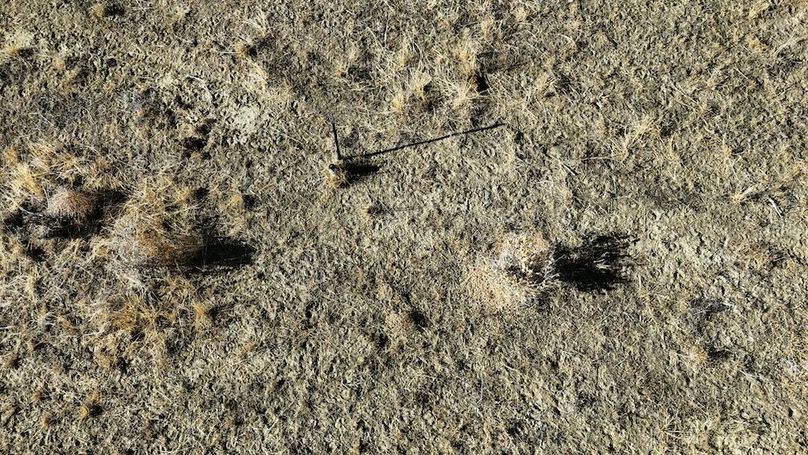 DJI_20241219102213_0080_D