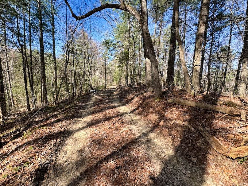 018 dirt_gravel path leading back towards the private drive