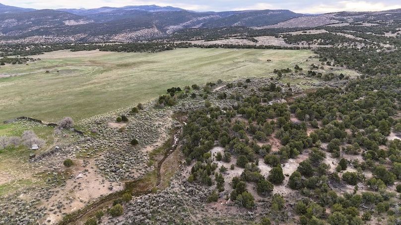 DJI_20250412074756_0036_D