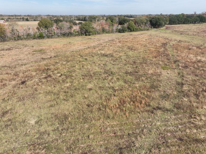 dji_fly_20231203_113546_532_1701631155239_photo