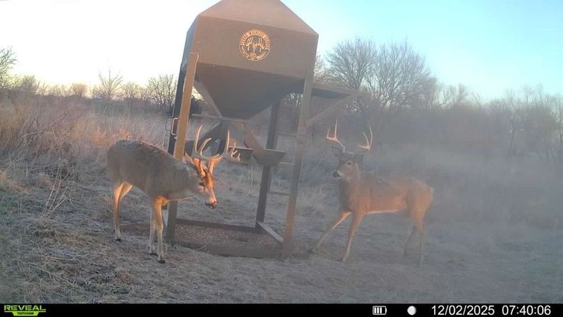 016578004041353-49-4-12022025074006-V-SYFW15703