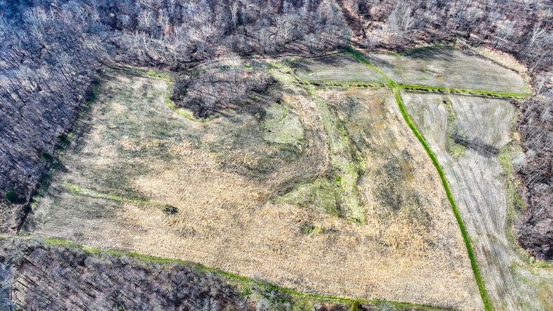 dji_fly_20260321_102552_0108_1774103507910_photo