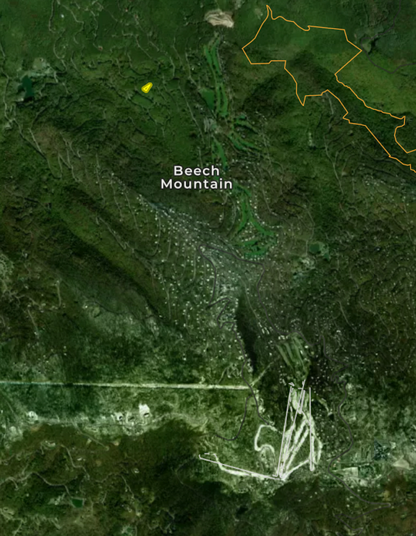 Screenshot 2025-12-31 at 12.46.54 PM