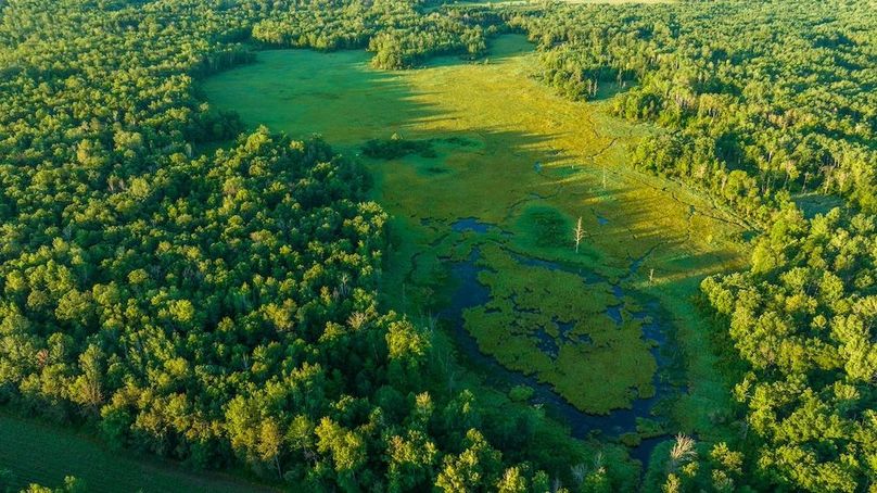 Cass MN 1095 Featured ProPhoto-67