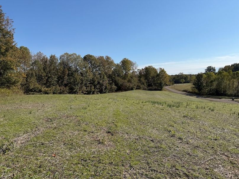 Hilltop House Site View