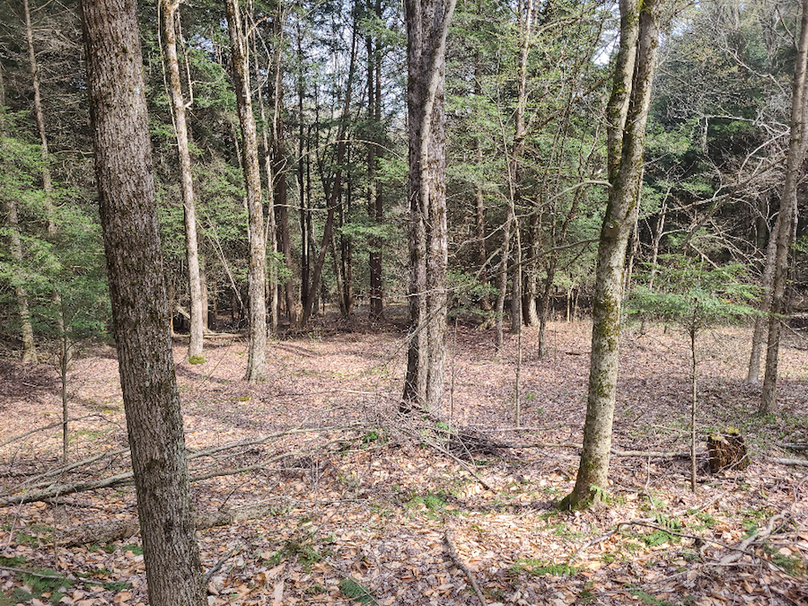 photo_3275fa05-8e9b-47ce-9113-10e74bf349ae