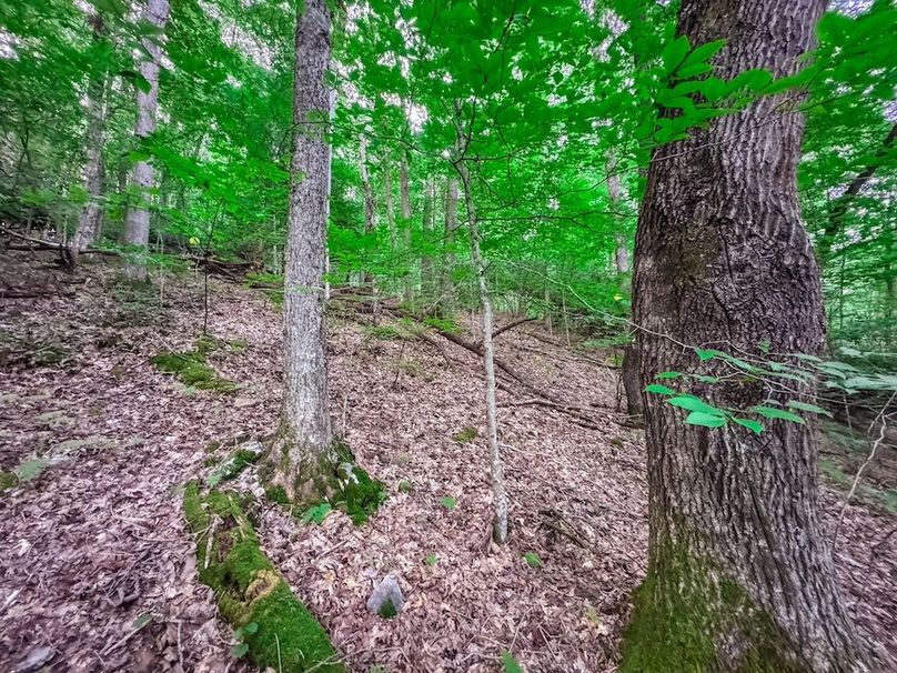 Webster, WV 42 AC Barger-09