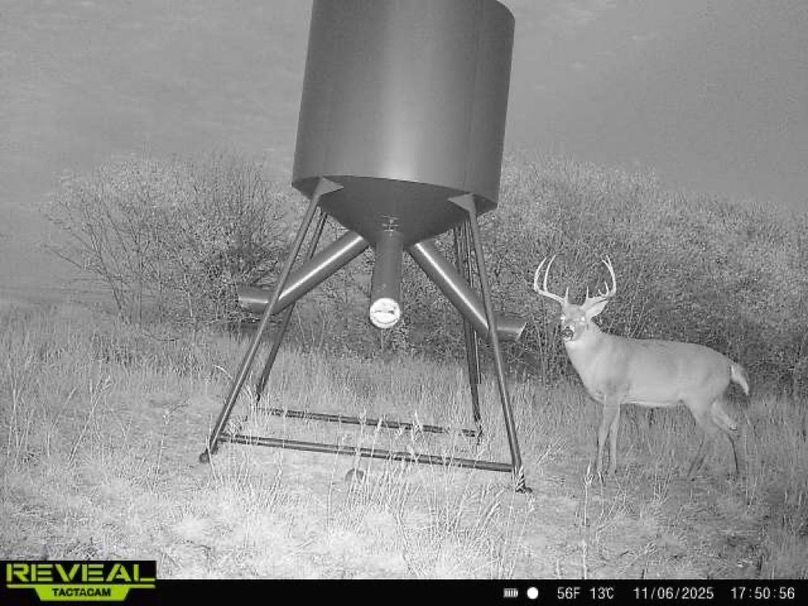 865977050266538-100-4-11062025175056-W1000994