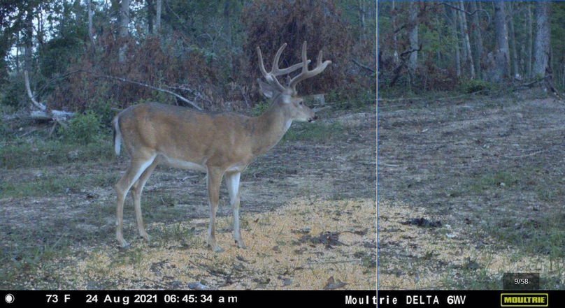 Screenshot 2023-07-27 at 9.58.21 PM