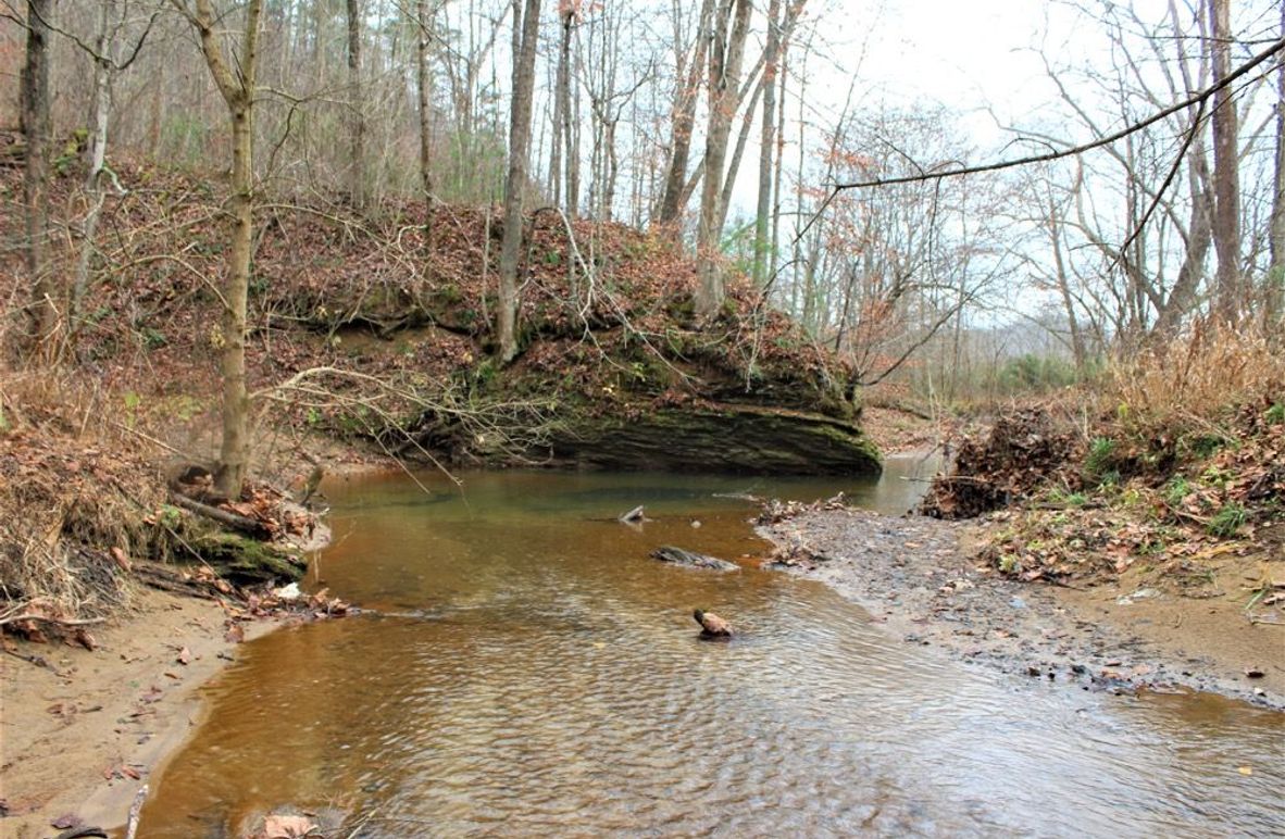 003 gently rippling Road Fork stream along the north boundary