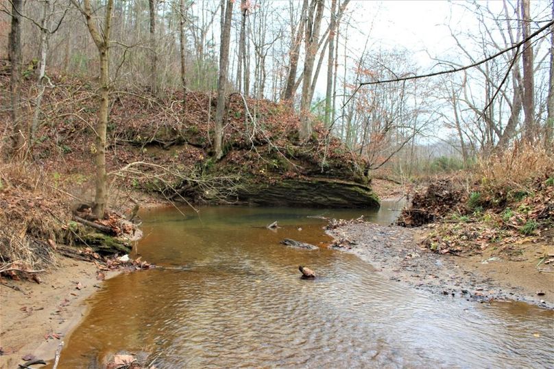 003 gently rippling Road Fork stream along the north boundary