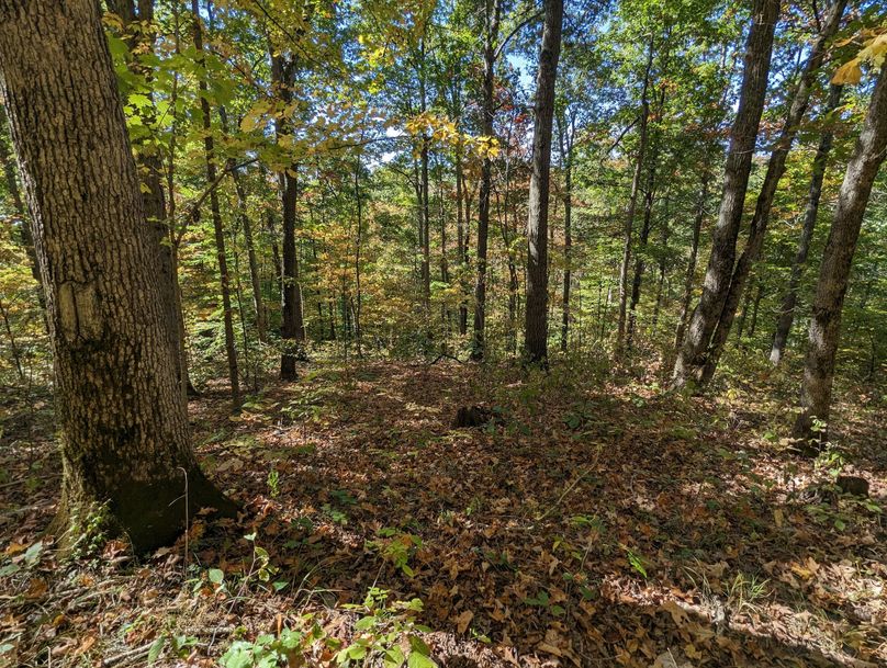 PXL_20231004_163625110