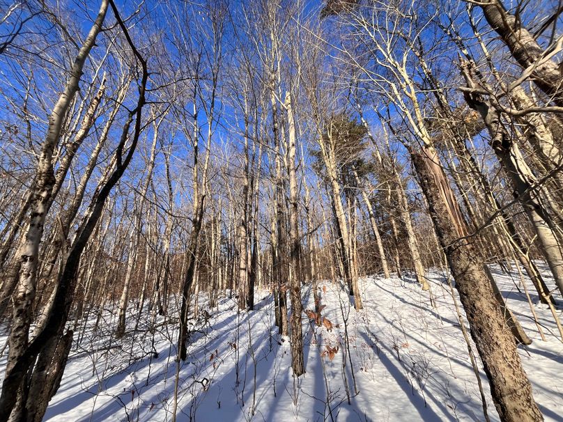 Tioga_11.9_Kilroy_Photos_30