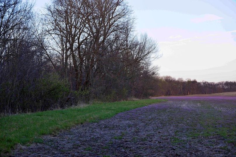 7 Copy of 20 CX9A0544