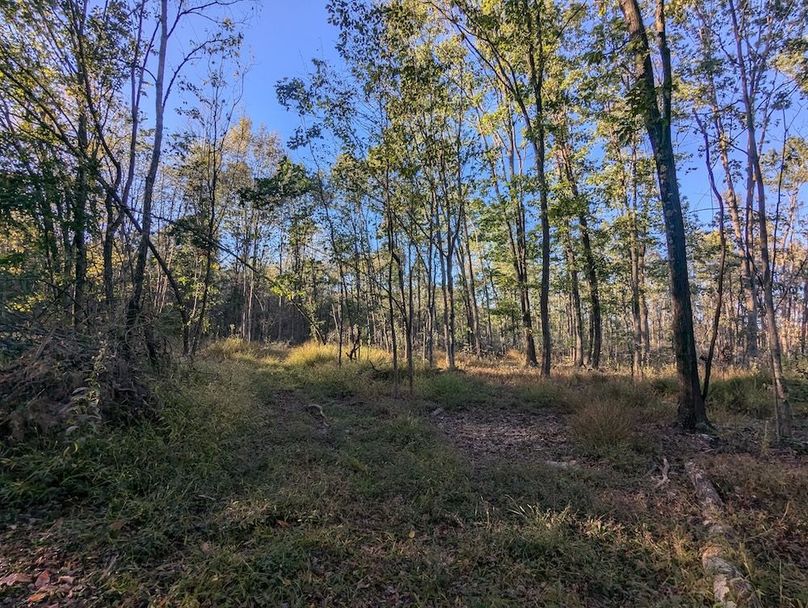 PXL_20251001_214710823