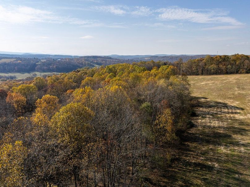 9-DJI_20251101090257_0009_D