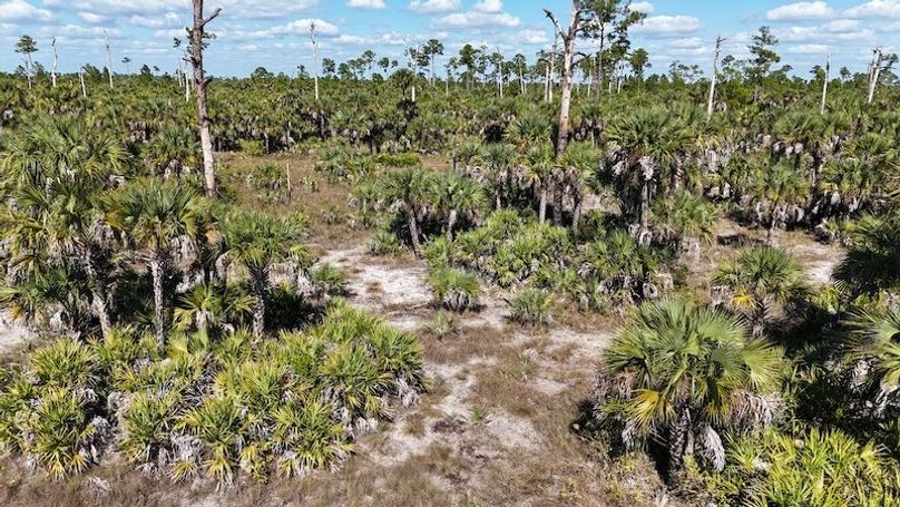 DJI_20251119125141_0998_D