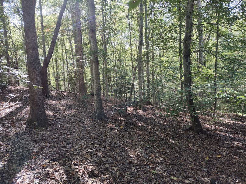 IMG_20231009_150347452