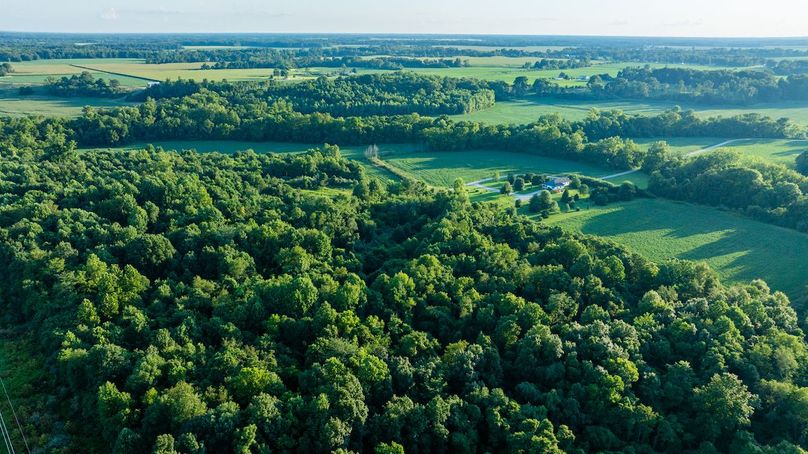 DJI_20250805061116_0011_D