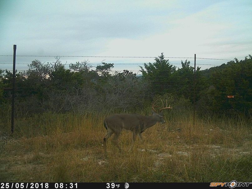 Game Camera 9