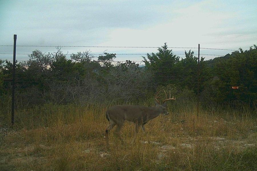 Game Camera 9