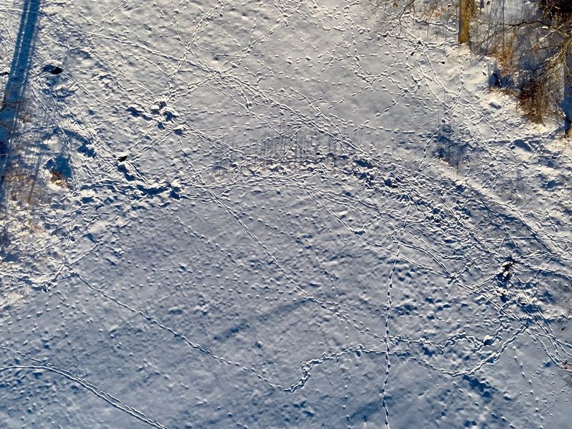 Copy of Tract 5 Tracks Large