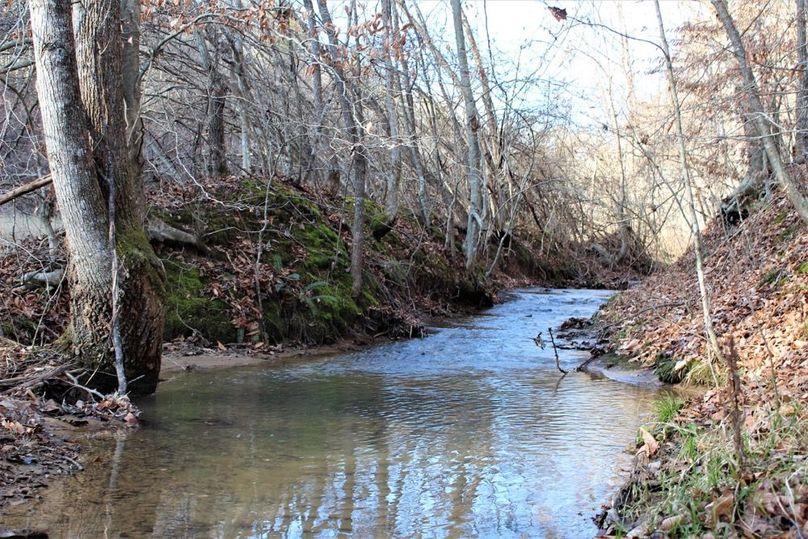 001 rippling mountain, year-round stream near middle of property