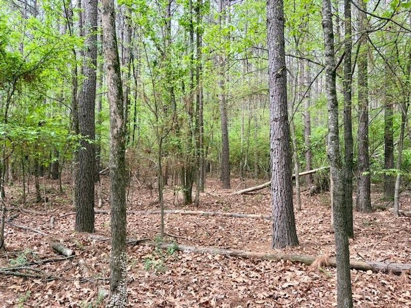 860FF0F5-DFC8-489B-8CD3-53EEAD3C3EF7_1_105_c