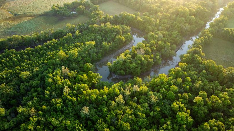 DJI_20250514053527_0023_D