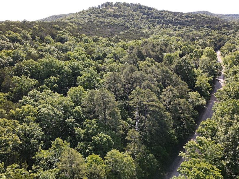 dji_fly_20260514_092322_753_1778768625202_photo