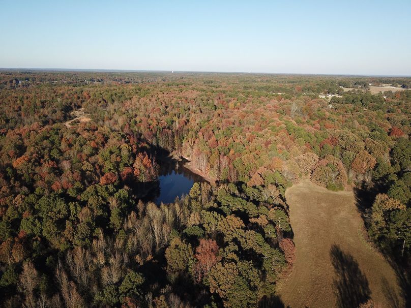 DJI_0073