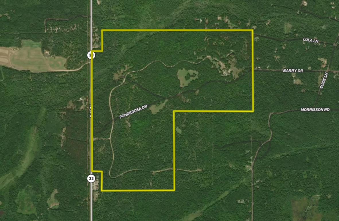 Screenshot 2023-08-03 at 1.57.53 PM