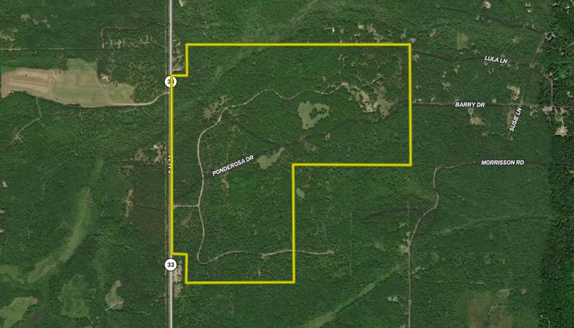 Screenshot 2023-08-03 at 1.57.53 PM