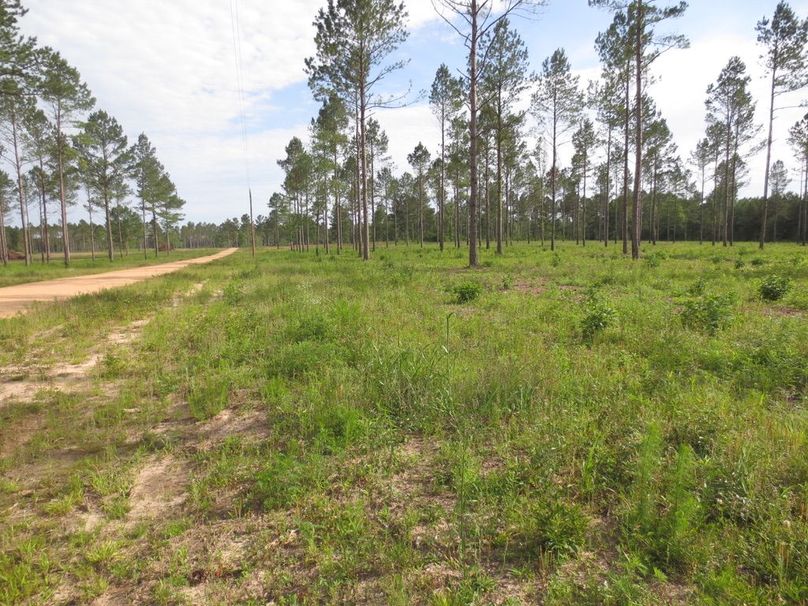 51DFFB14-4A43-45A3-B3DC-DCC71E2A10BE_1_105_c