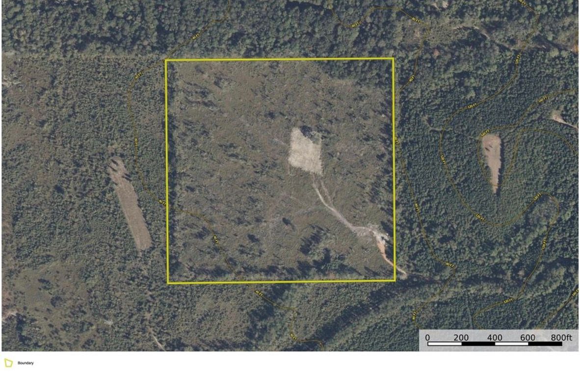 Aerial #1 Approx. 40 Acres Clarke County, AL