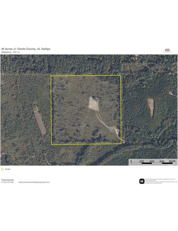 Aerial #1 Approx. 40 Acres Clarke County, AL