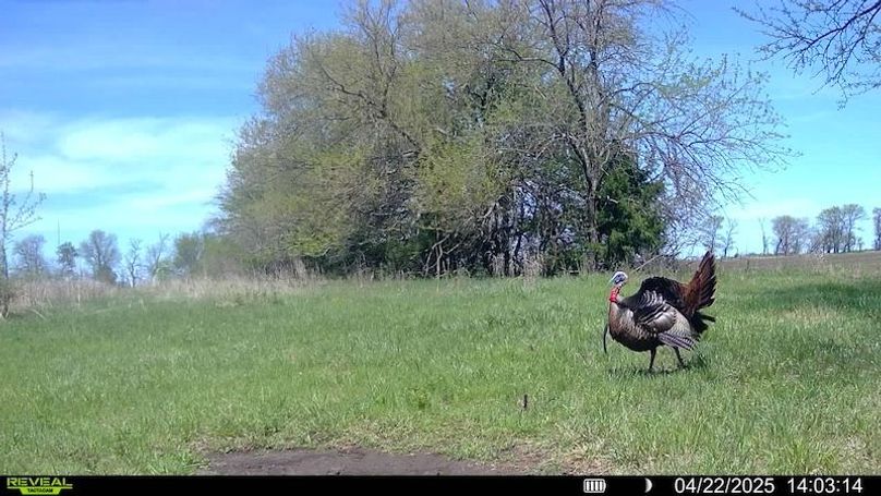 016579000438700-100-4-04222025140314-SYFW12232