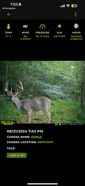 trailcam9