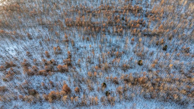 DJI_20251209075148_0007_D