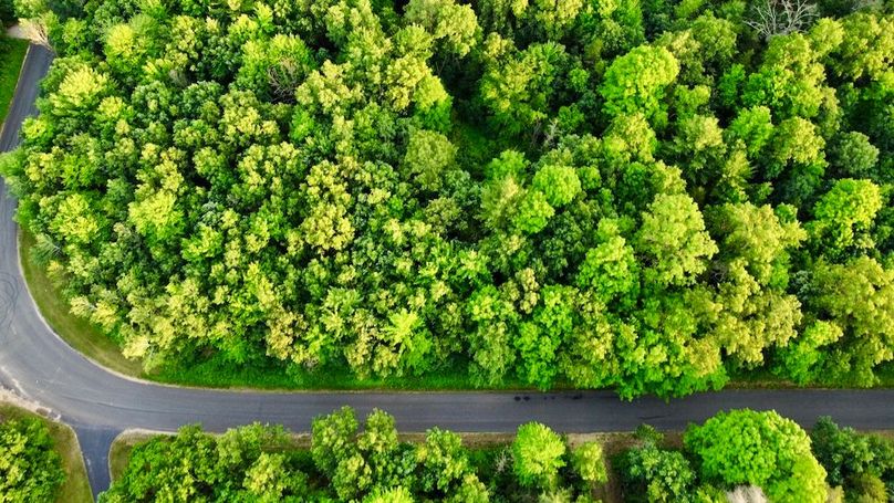 dji_fly_20250624_195426_888_1750813858686_photo_optimized