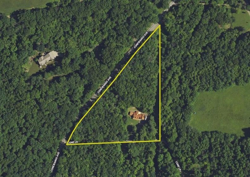 Screen Shot 2024-06-26 at 10.52.19 AM