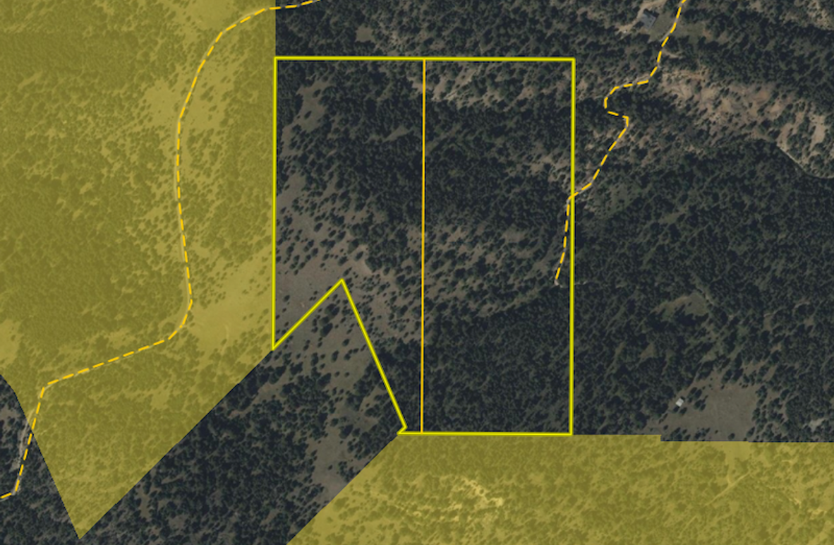 Screen Shot 2025-06-18 at 9.31.42 AM