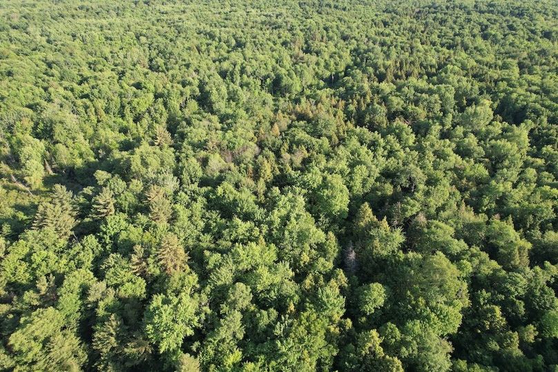 Jefferson_260.3_ Lobach_Photos_61