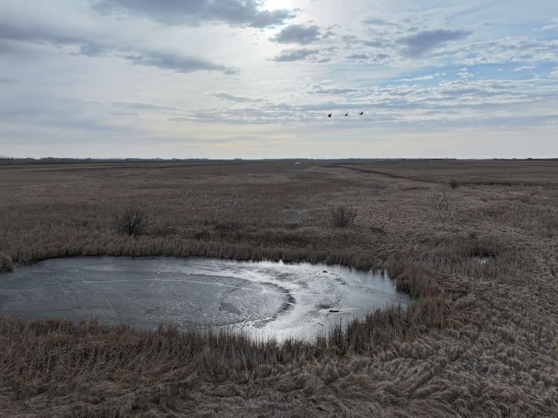 DJI_20260222124531_0027_D