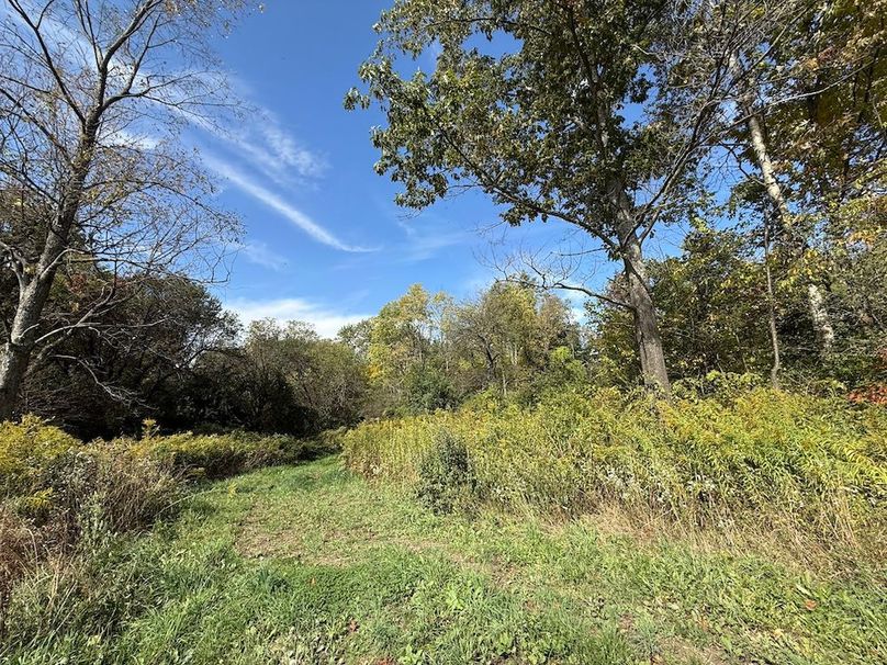 Cayuga_55.02_Herman Photo 53