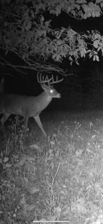 Screenshot 2023-10-20 at 8.03.30 AM