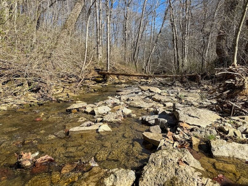 Fleming Petry 115-33