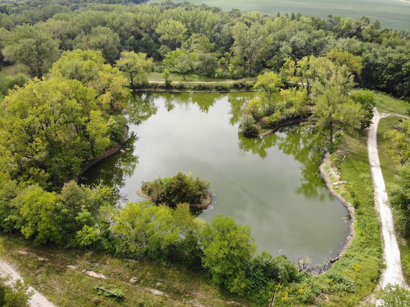 DJI_0816