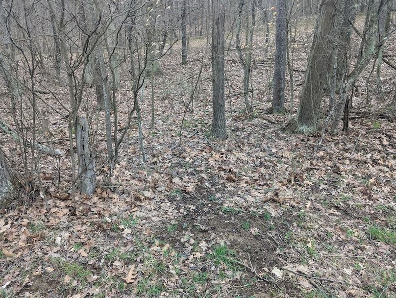 PXL_20250403_174846818